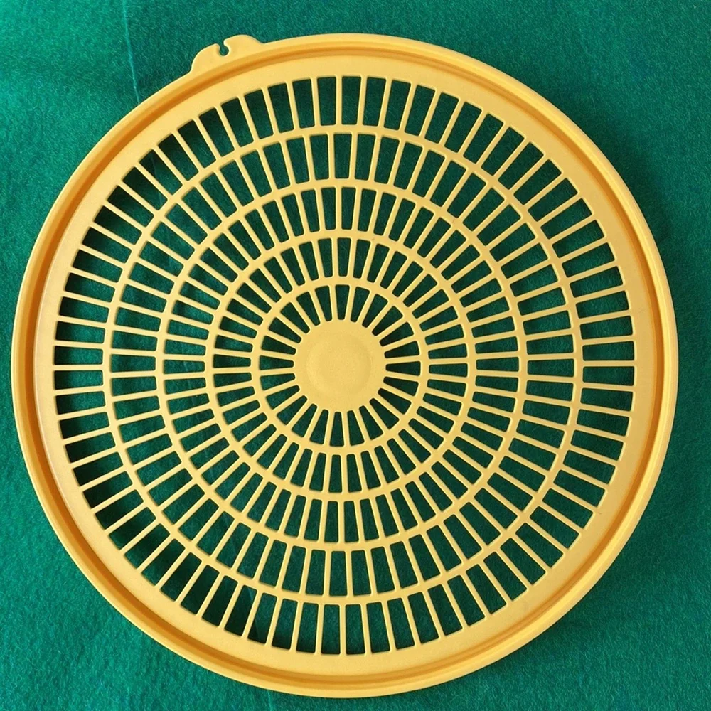 Tupperware Colander/Berry Strainer Bowl/Lid Vintage